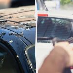 A madarak már nem szarnak az autókra: ezt kell tennie