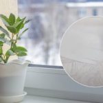 Az eredmény megdöbbentő lesz: egy recept egy olyan gyógymódhoz, amely fehéríti a műanyag ablakpárkányt. Az eredmény megdöbbentő lesz: egy recept egy olyan gyógymódhoz, amely