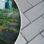 Az udvaron lévő gyomok egyik napról a másikra eltűnnek, ha