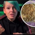 Hogyan válasszuk ki az almabor növényeket, és lepjük meg a