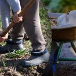 Vetési naptár 2025 szeptemberére: mit kell tenni a kertben és